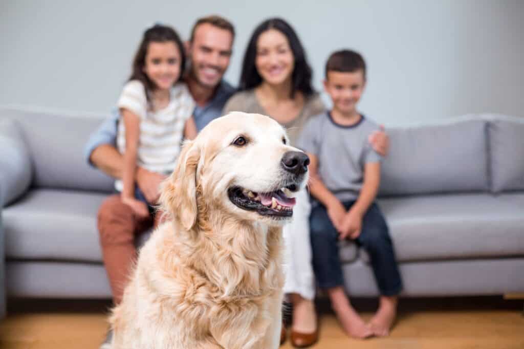 A pet and a family in their living room