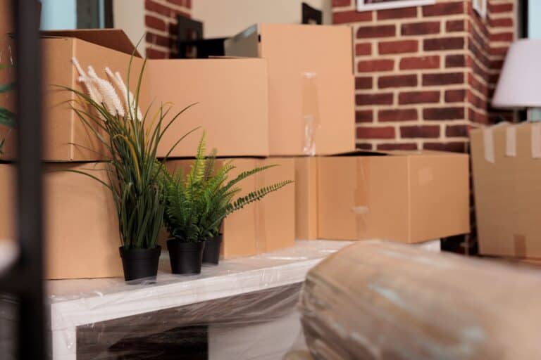 Cardboard boxes and furniture prepared to relocate household