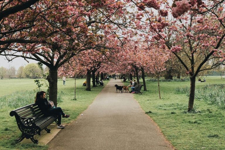 People and their pets in a park on a gloomy day in the concept of 'best parks and green spaces in East London'.